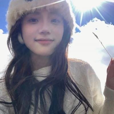 神探飞机头